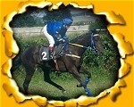 Browsergame Virtual Galopp WE Browsergame Virtual Galopp WE