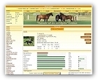 Browsergame Virtual Galopp First Edition