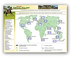 Browsergame Virtual Galopp World Edition